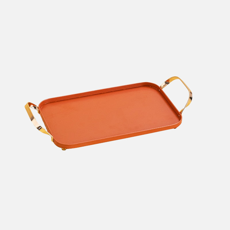 Additional view of the color panel aluminum tray with handles.