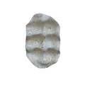 Speckled Six or Twelve Well Organizer on a white studio background.