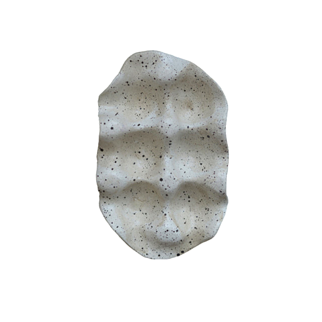 Speckled Six or Twelve Well Organizer on a white studio background.